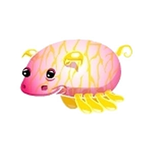 Glass Sea Pig